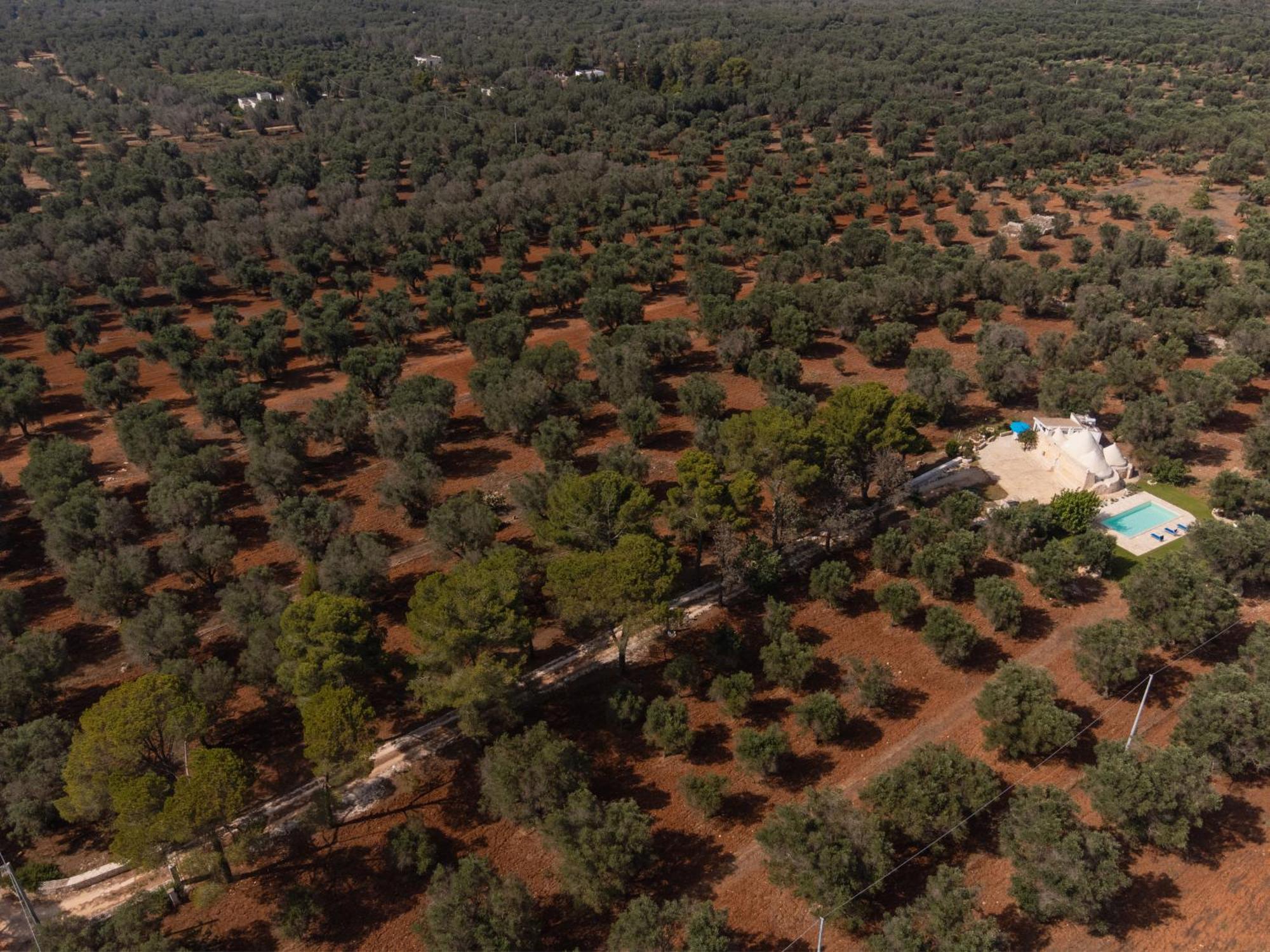Apartmán Trullo Tarantini Con Piscina Privata Latiano Exteriér fotografie